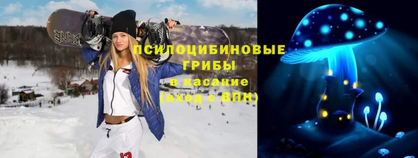 мескалин Гусев