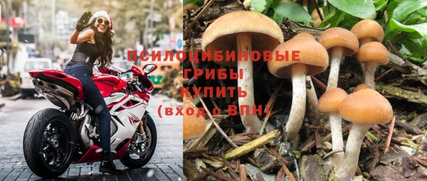 мескалин Гусев