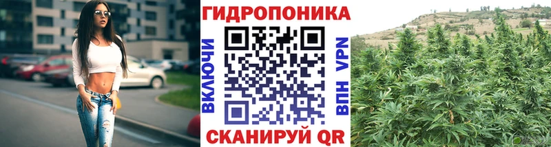 Бошки Шишки White Widow  где купить   Новое Девяткино 